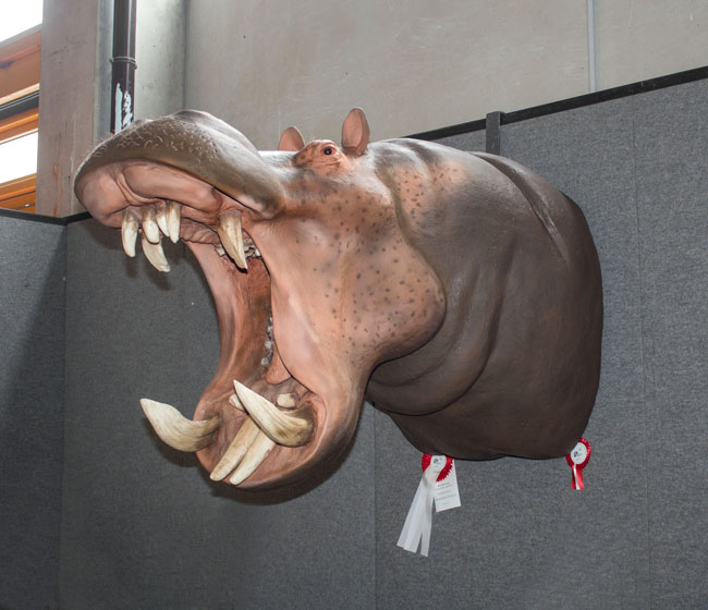 Ippopotamo